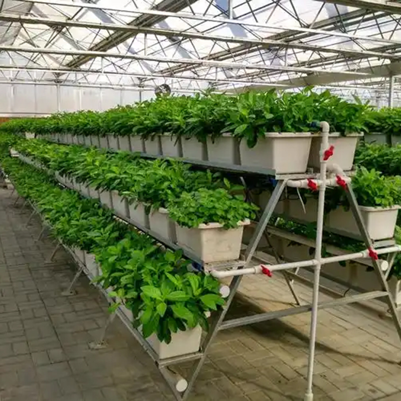 临沂市植物工厂水肥机 - 一站式服务